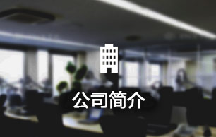 公司简介