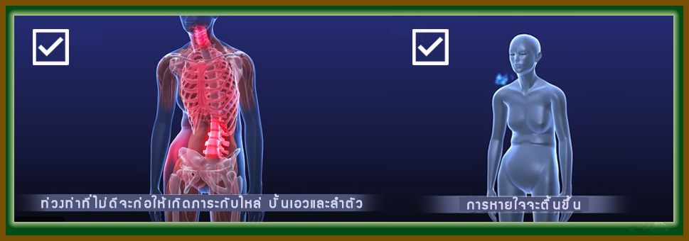 เฟล็กซ์โพล