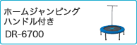 ホームジャンピングハンドル付き