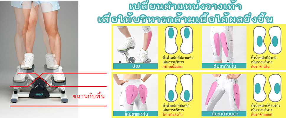 สเต็ปเปอร์
